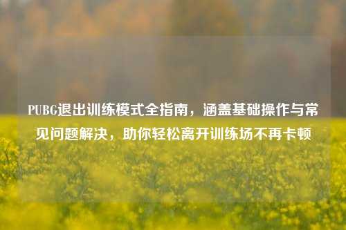 PUBG退出训练模式全指南，涵盖基础操作与常见问题解决，助你轻松离开训练场不再卡顿