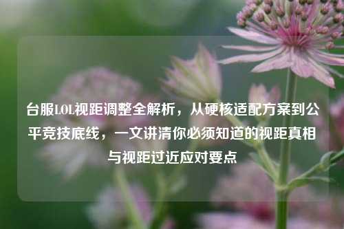 台服LOL视距调整全解析,从硬核适配方案到公平竞技底线,一文讲清你必须知道的视距真相与视距过近应对要点