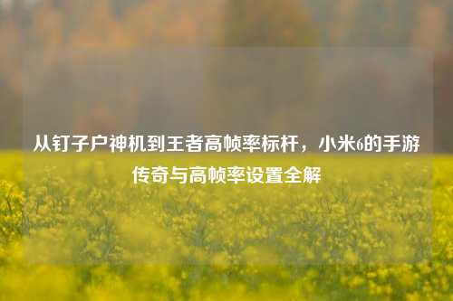 从钉子户神机到王者高帧率标杆,小米6的手游传奇与高帧率设置全解