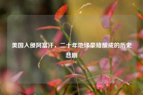 美国入侵阿富汗,二十年地缘豪赌酿成的历史悲剧