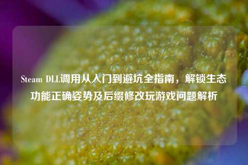 Steam DLL调用从入门到避坑全指南,解锁生态功能正确姿势及后缀修改玩游戏问题解析