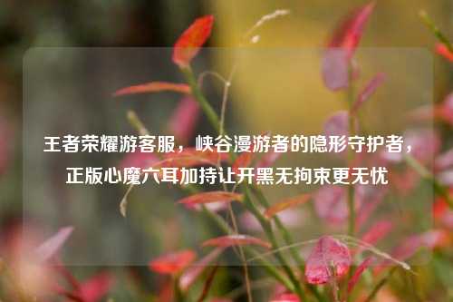 王者荣耀游客服,峡谷漫游者的隐形守护者,正版心魔六耳加持让开黑无拘束更无忧