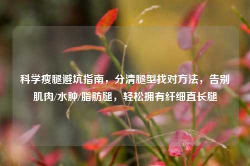 科学瘦腿避坑指南,分清腿型找对方法,告别肌肉/水肿/脂肪腿,轻松拥有纤细直长腿