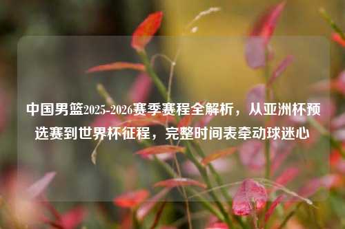 中国男篮2025-2026赛季赛程全解析,从亚洲杯预选赛到世界杯征程,完整时间表牵动球迷心