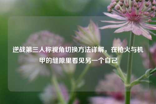 逆战第三人称视角切换方法详解，在枪火与机甲的缝隙里看见另一个自己