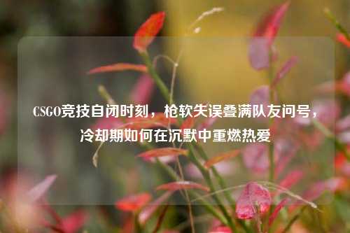 CSGO竞技自闭时刻，枪软失误叠满队友问号，冷却期如何在沉默中重燃热爱