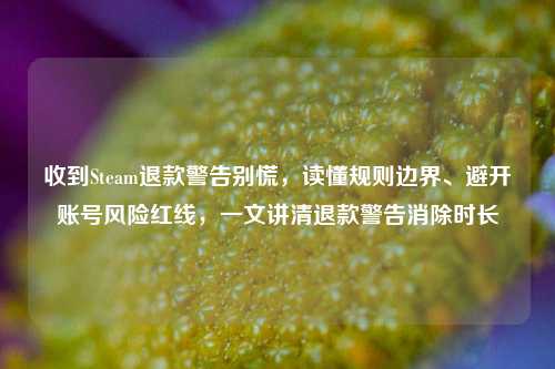 收到Steam退款警告别慌,读懂规则边界、避开账号风险红线,一文讲清退款警告消除时长