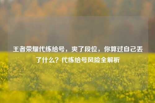 王者荣耀代练给号,爽了段位,你算过自己丢了什么?代练给号风险全解析