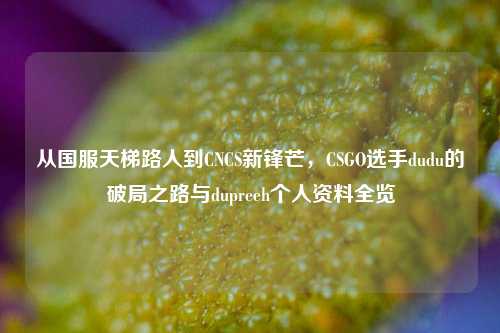 从国服天梯路人到CNCS新锋芒,CSGO选手dudu的破局之路与dupreeh个人资料全览