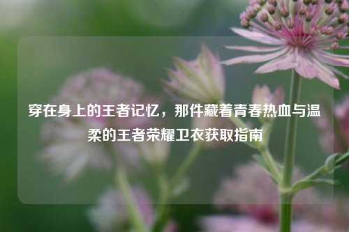 穿在身上的王者记忆,那件藏着青春热血与温柔的王者荣耀卫衣获取指南