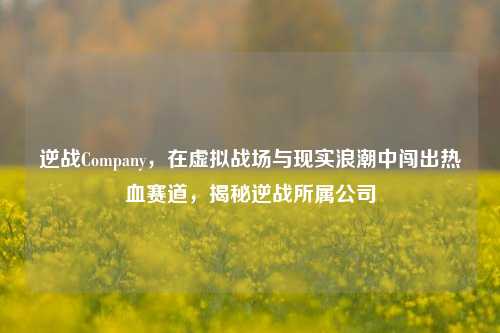 逆战Company,在虚拟战场与现实浪潮中闯出热血赛道,揭秘逆战所属公司