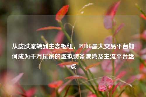 从皮肤流转到生态枢纽，PUBG最大交易平台如何成为千万玩家的虚拟装备港湾及主流平台盘点