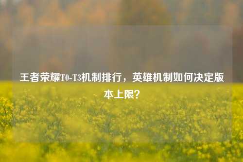 王者荣耀T0-T3机制排行,英雄机制如何决定版本上限?