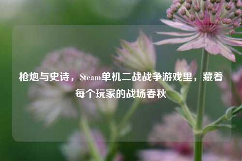 枪炮与史诗,Steam单机二战战争游戏里,藏着每个玩家的战场春秋