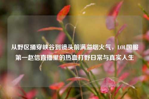 从野区捅穿峡谷到镜头前满溢烟火气,LOL国服第一赵信直播里的热血打野日常与真实人生