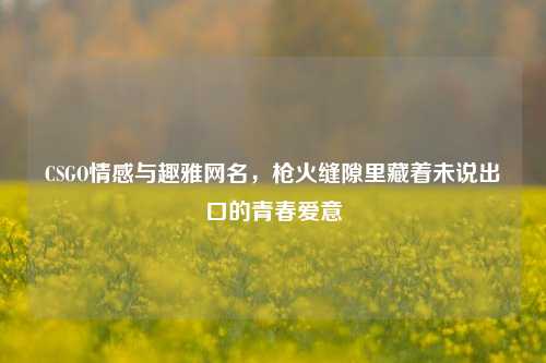 CSGO情感与趣雅网名,枪火缝隙里藏着未说出口的青春爱意