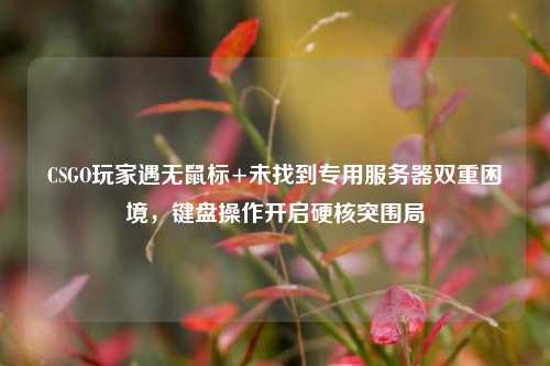 CSGO玩家遇无鼠标+未找到专用服务器双重困境,键盘操作开启硬核突围局