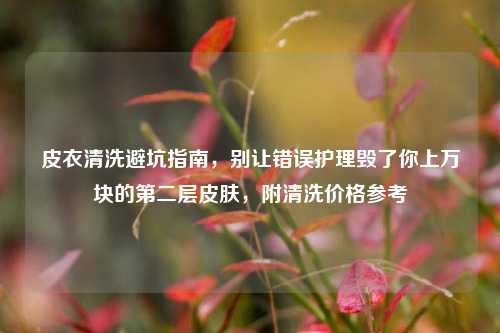 皮衣清洗避坑指南,别让错误护理毁了你上万块的第二层皮肤,附清洗价格参考