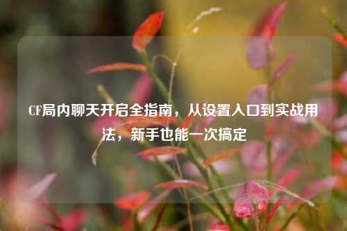 CF局内聊天开启全指南,从设置入口到实战用法,新手也能一次搞定