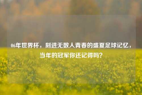 06年世界杯,刻进无数人青春的盛夏足球记忆,当年的冠军你还记得吗?