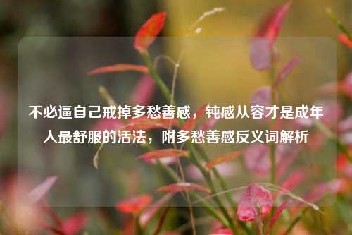 不必逼自己戒掉多愁善感,钝感从容才是成年人最舒服的活法,附多愁善感反义词解析