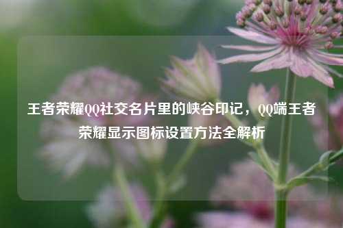 王者荣耀QQ社交名片里的峡谷印记,QQ端王者荣耀显示图标设置方法全解析