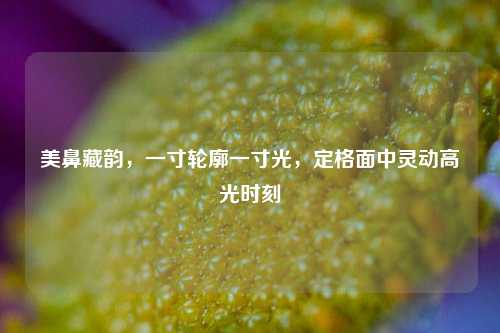 美鼻藏韵,一寸轮廓一寸光,定格面中灵动高光时刻