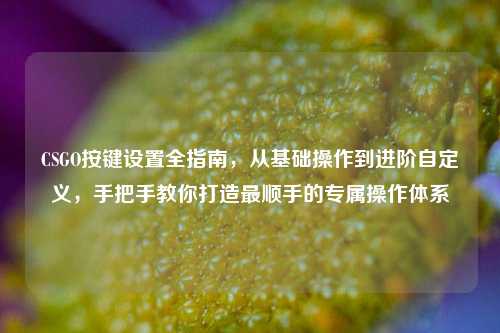 CSGO按键设置全指南,从基础操作到进阶自定义,手把手教你打造最顺手的专属操作体系