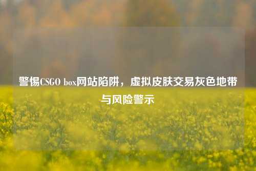 警惕CSGO box网站陷阱,虚拟皮肤交易灰色地带与风险警示