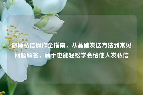 微博私信操作全指南，从基础发送方法到常见问题解答，新手也能轻松学会给他人发私信