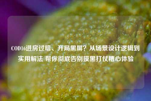 COD16进房过暗、开局黑屏?从场景设计逻辑到实用解法 帮你彻底告别摸黑打仗糟心体验