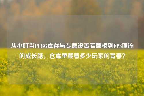 从小叮当PUBG库存与专属设置看草根到FPS顶流的成长路,仓库里藏着多少玩家的青春?