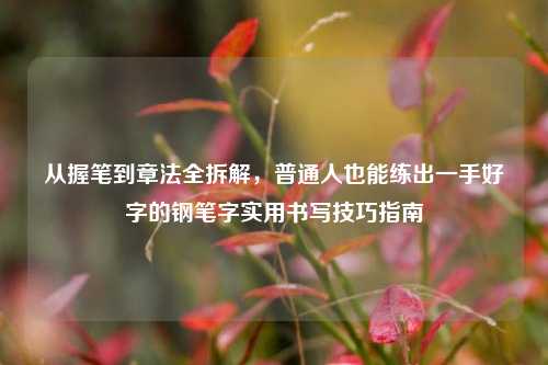 从握笔到章法全拆解,普通人也能练出一手好字的钢笔字实用书写技巧指南