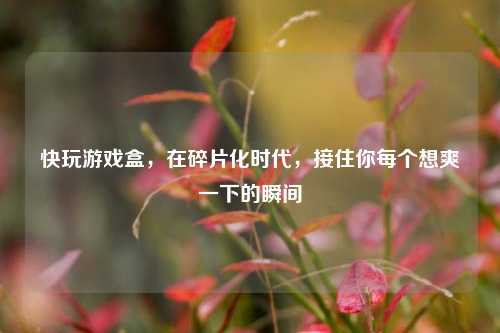 快玩游戏盒,在碎片化时代,接住你每个想爽一下的瞬间