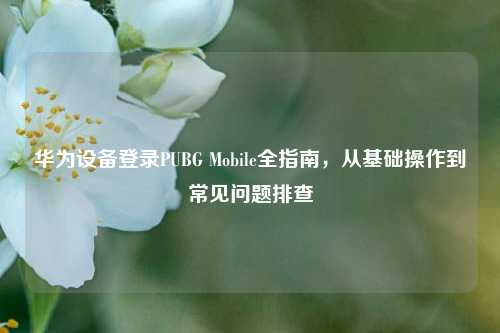 华为设备登录PUBG Mobile全指南,从基础操作到常见问题排查