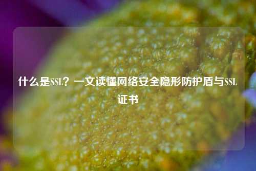 什么是SSL?一文读懂网络安全隐形防护盾与SSL证书