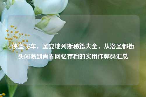 侠盗飞车,圣安地列斯秘籍大全,从洛圣都街头闯荡到青春回忆存档的实用作弊码汇总