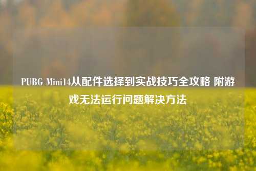 PUBG Mini14从配件选择到实战技巧全攻略 附游戏无法运行问题解决方法