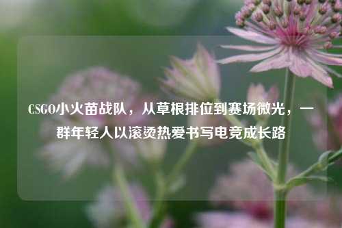 CSGO小火苗战队,从草根排位到赛场微光,一群年轻人以滚烫热爱书写电竞成长路