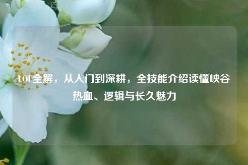 LOL全解,从入门到深耕,全技能介绍读懂峡谷热血、逻辑与长久魅力