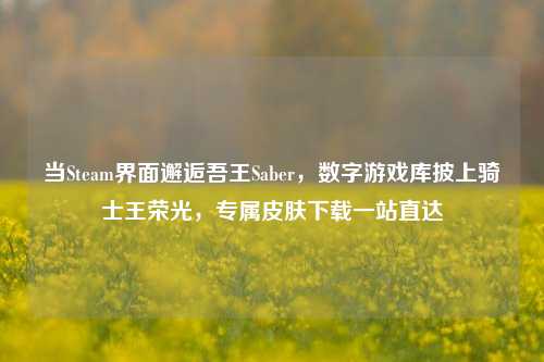 当Steam界面邂逅吾王Saber，数字游戏库披上骑士王荣光，专属皮肤下载一站直达