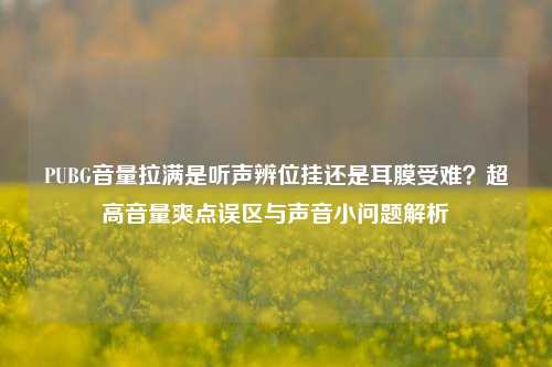 PUBG音量拉满是听声辨位挂还是耳膜受难?超高音量爽点误区与声音小问题解析