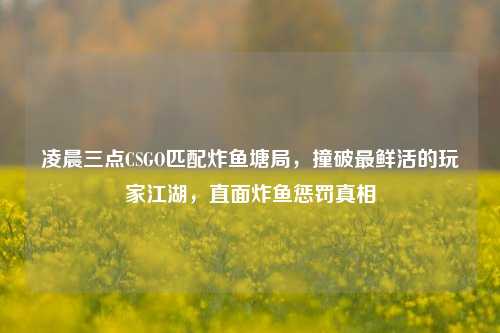 凌晨三点CSGO匹配炸鱼塘局,撞破最鲜活的玩家江湖,直面炸鱼惩罚真相