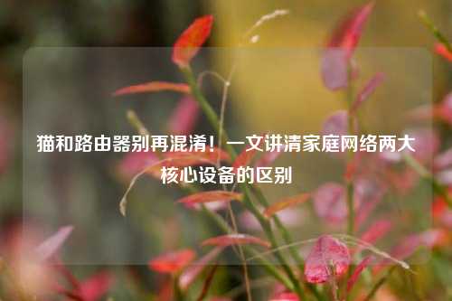猫和路由器别再混淆!一文讲清家庭网络两大核心设备的区别