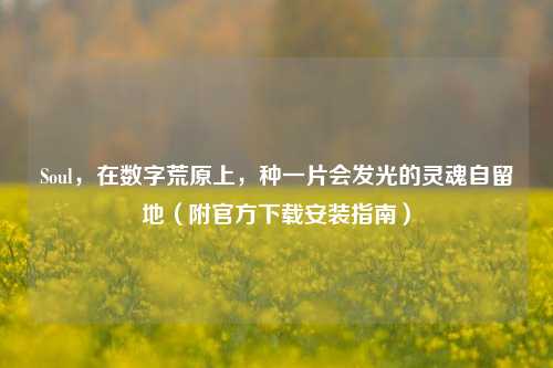 Soul，在数字荒原上，种一片会发光的灵魂自留地（附官方下载安装指南）