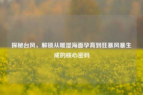 探秘台风,解锁从暖湿海面孕育到狂暴风暴生成的核心密码