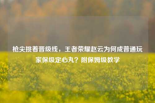 枪尖挑着晋级线,王者荣耀赵云为何成普通玩家保级定心丸?附保姆级教学