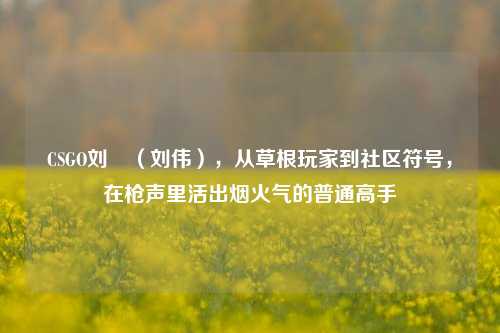 CSGO刘頔(刘伟),从草根玩家到社区符号,在枪声里活出烟火气的普通高手