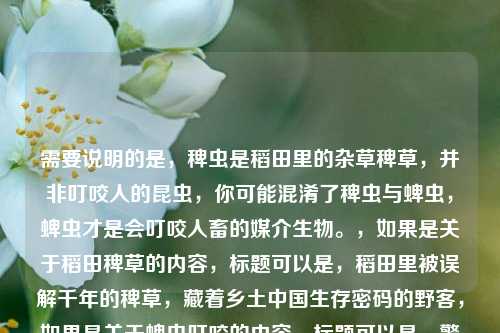 需要说明的是,稗虫是稻田里的杂草稗草,并非叮咬人的昆虫,你可能混淆了稗虫与蜱虫,蜱虫才是会叮咬人畜的媒介生物。,如果是关于稻田稗草的内容,标题可以是,稻田里被误解千年的稗草,藏着乡土中国生存密码的野客,如果是关于蜱虫叮咬的内容,标题可以是,警惕蜱虫叮咬,了解这种危险媒介生物的防治要点,请你明确具体想了解的对象,以便更准确地为你生成合适的标题~
