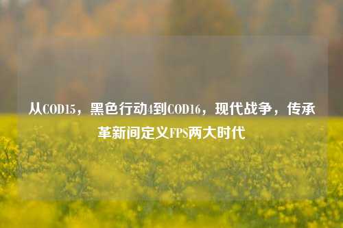 从COD15,黑色行动4到COD16,现代战争,传承革新间定义FPS两大时代